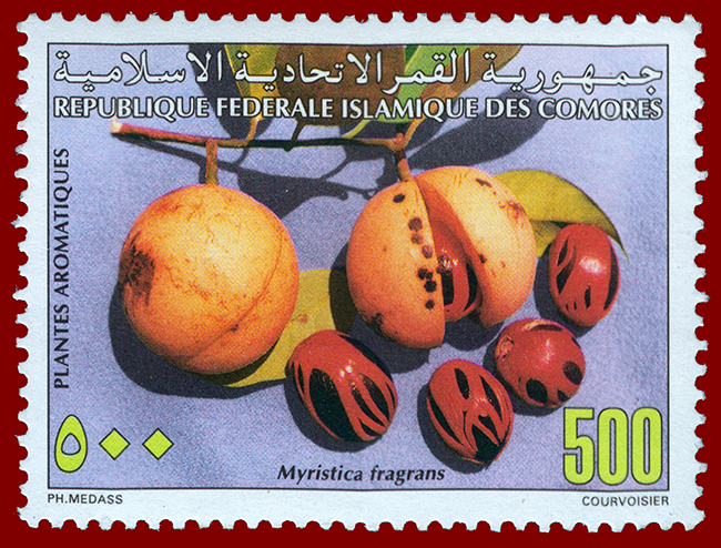 1997 Comores Stamp With Nutmeg
