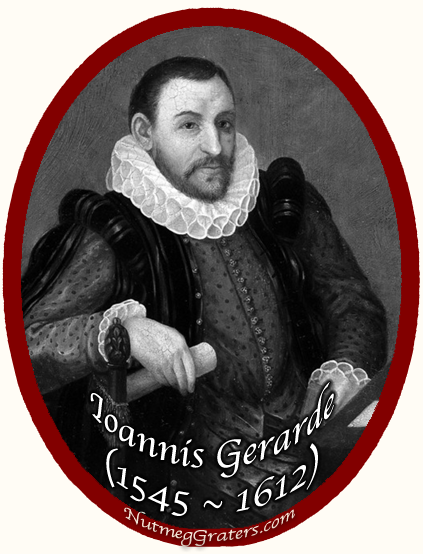 John Gerard