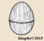 Identifying Ivory Vs Bone Nutmeg Graters